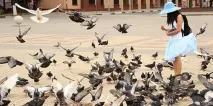 Сонник годувати голубів до чого сниться годувати голубів уві сні голубів