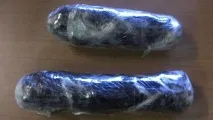 собаки