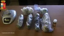 собаки