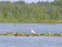 турів