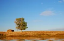 Вірші про життя любити