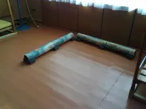 спортивне