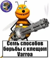 Стаття №1 Термообробка від кліща варроа MiteZapper ЯК ЦЕ ПРАЦЮЄ кліща