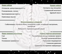 суть