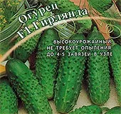 Томат Людовик XVII, 0, 1 г Урожай на вікні томат