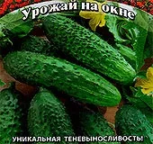 Томат Людовик XVII, 0, 1 г Урожай на вікні саду