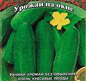 Томат Людовик XVII, 0, 1 г Урожай на вікні томат
