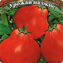 Томат Людовик XVII, 0, 1 г Урожай на вікні вікні