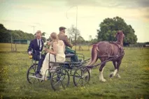 Тренди весільної флористики у 2012 році Стиль Rustic, Букетіо тренди