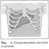 анатомія
