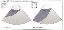 анатомія