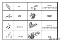 Урок 18 степу