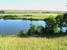 Урочище Летник біля села Кулиги кулиги