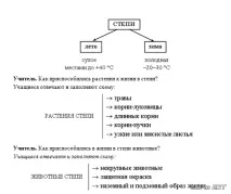Урок 18 степів