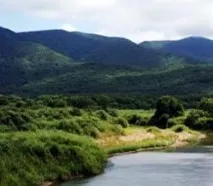 Уссурійський заповідник території