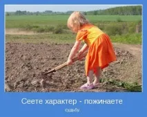 види