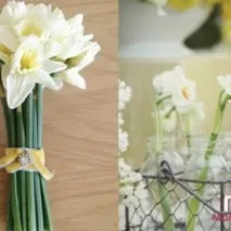 ВЕСІННІ НОТКИ АБО ВЕСІЛЛЯ У СТИЛІ НАРЦІСУ весілля