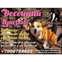 Весняний кінологічний табір 7-9 квітня кінологічний