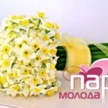 ВЕСІННІ НОТКИ АБО ВЕСІЛЛЯ У СТИЛІ НАРЦІСУ нарцісу