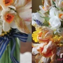 ВЕСІННІ НОТКИ АБО ВЕСІЛЛЯ У СТИЛІ НАРЦІСУ нарцісу
