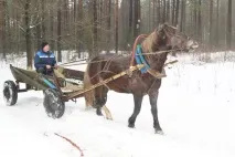 алгоритм