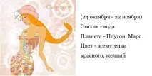 скорпіон