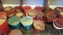 Вода, повітря та правильне харчування – три умови здорового життя повітря