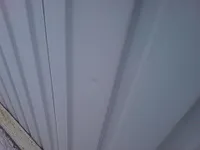 популярна