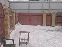 діану-460