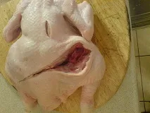 діану-460