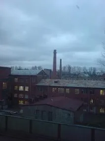 діану-460