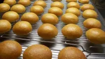 Хлібопекарські печі Схід - види,характеристика печі