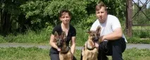 Я дресирую не собак, а їхніх господарів кінолог про збіг характерів, страх і моду на породи собак