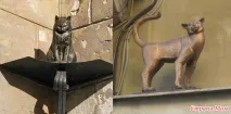 15 місць у Петербурзі, де загадують бажання. загадують