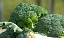 10 продуктів, які у кілька разів прискорять ваш метаболізм кілька