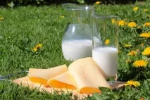 10 продуктів, які у кілька разів прискорять ваш метаболізм разів