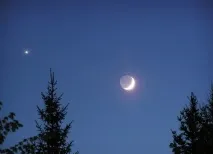 фактів