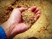 10 продуктів, які у кілька разів прискорять ваш метаболізм метаболізм