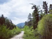 Теплий ключ у Терні терні