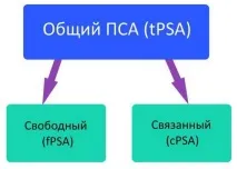 Аналіз ПСА норма, розшифровка за віком та відхилення (таблиця) аналіз