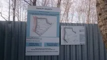 шевчика