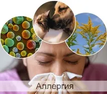 Алергія - Інформація з алергології інформація