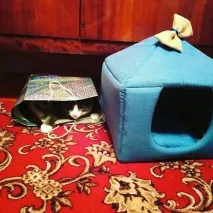 А якщо немає різниці різниці