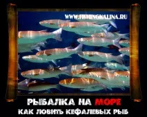 Чоловічі забави кефаль