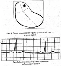 електрическо