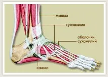 Причини виникнення захворювання