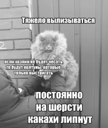 Казав – Британець. казав
