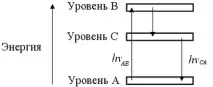 видове