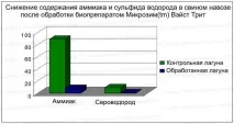 Біологічне очищення відстійників - Доктор ЯРО доктор