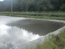 Біологічне очищення відстійників - Доктор ЯРО очищення